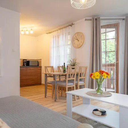 Karkonosky - Przystanek Karkonosze Appartement *